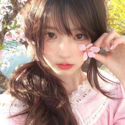 甜梦猫